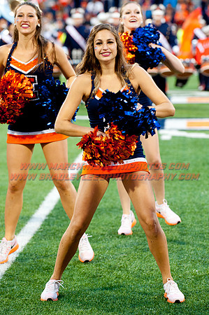 Texas State at Illinois, Saturday, September 20, 2014 - Marching Illini Photos