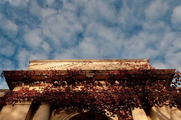 Champaign Chamber of Commerce Community Link MagazineBradley Leeb PhotographyBradleyLeebPhotography.comBradleyLeebPhotography@gmail.com217.721.9190