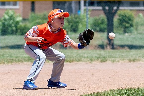 Champaign East Little League All-Stars (Borders)June 25, 2017, www.BradleyLeebPhotography.com
