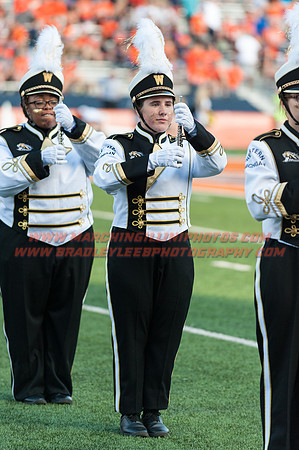 Western Michigan Broncos at Illinois Fighting Illini, Saturday, September 17, 2016 - Marching Illini Photos