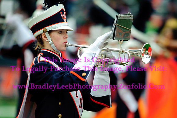 Penn State Nittany Lions at Illinois Fighting Illini, Saturday, November 22, 2014 - Marching Illini Photos