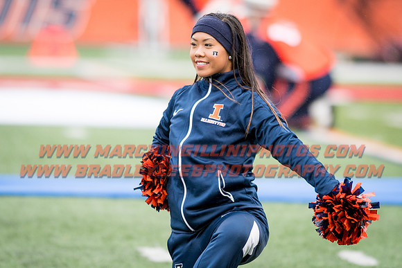 Wisconsin Badgers at Illinois Fighting Illini, Saturday, October 28, 2017 - Marching Illini Photos
