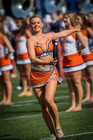 Rutgers Scarlett Knights at Illinois Fighting Illini, Saturday, October 14, 2017 - Marching Illini Photos