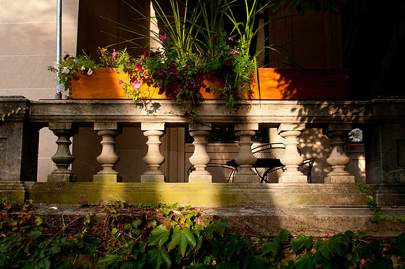 Champaign Chamber of Commerce Community Link MagazineBradley Leeb PhotographyBradleyLeebPhotography.comBradleyLeebPhotography@gmail.com217.721.9190