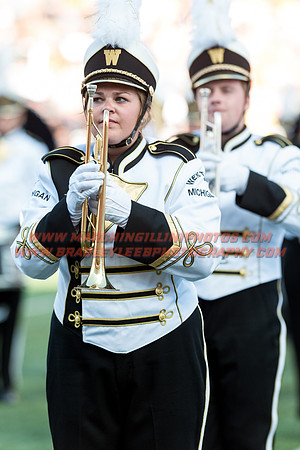 Western Michigan Broncos at Illinois Fighting Illini, Saturday, September 17, 2016 - Marching Illini Photos