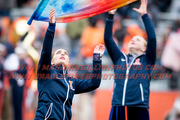 Wisconsin Badgers at Illinois Fighting Illini, Saturday, October 28, 2017 - Marching Illini Photos