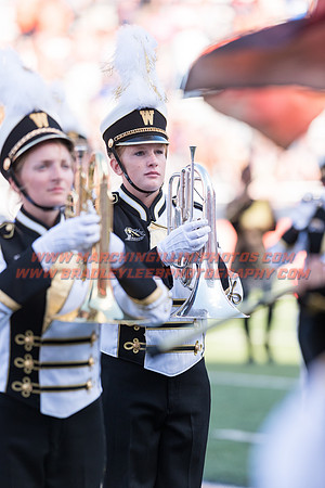 Western Michigan Broncos at Illinois Fighting Illini, Saturday, September 17, 2016 - Marching Illini Photos