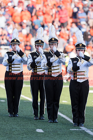 Western Michigan Broncos at Illinois Fighting Illini, Saturday, September 17, 2016 - Marching Illini Photos