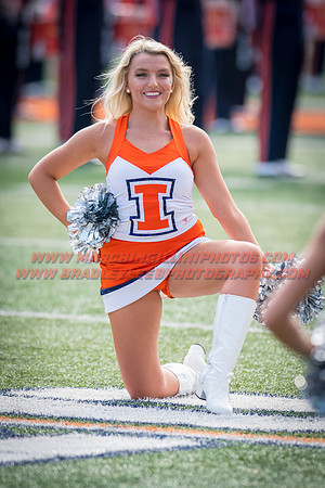 Rutgers Scarlett Knights at Illinois Fighting Illini, Saturday, October 14, 2017 - Marching Illini Photos