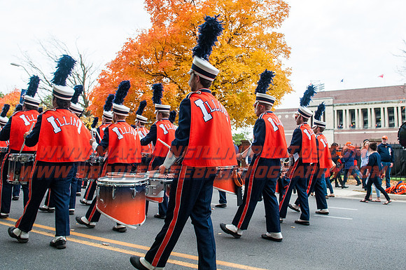 Wisconsin at Illinois, Saturday, Oct. 24, 2015 - Marching Illini Photos