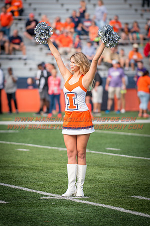 Rutgers Scarlett Knights at Illinois Fighting Illini, Saturday, October 14, 2017 - Marching Illini Photos