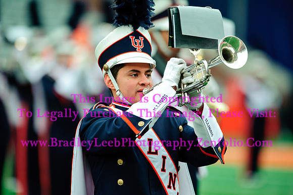 Penn State Nittany Lions at Illinois Fighting Illini, Saturday, November 22, 2014 - Marching Illini Photos