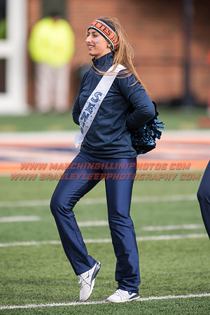 Iowa at Illinois, Saturday, November 19, 2016 - Marching Illini Photos