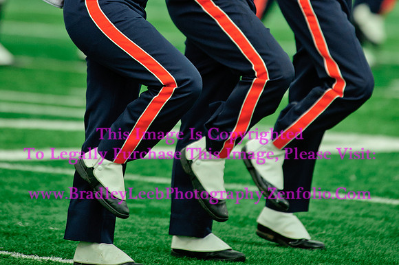 Penn State Nittany Lions at Illinois Fighting Illini, Saturday, November 22, 2014 - Marching Illini Photos