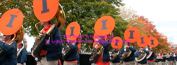 Michigan State Spartans at Illinois Fighting Illini, Saturday, October 26, 2013 - Marching Illini Photos