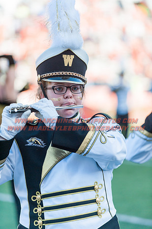 Western Michigan Broncos at Illinois Fighting Illini, Saturday, September 17, 2016 - Marching Illini Photos