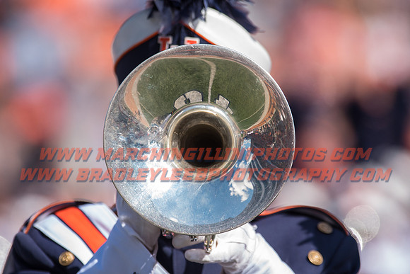 Western Michigan Broncos at Illinois Fighting Illini, Saturday, September 17, 2016 - Marching Illini Photos