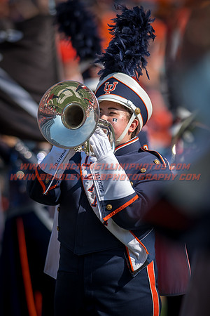 Rutgers Scarlett Knights at Illinois Fighting Illini, Saturday, October 14, 2017 - Marching Illini Photos