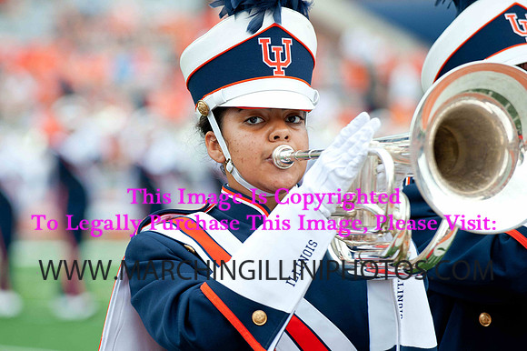 Southern Illinois University Salukis at Illinois Fighting Illini, Saturday, August 31, 2013 - Marching Illini Photos