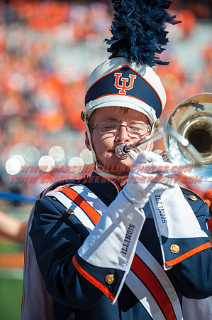Western Michigan Broncos at Illinois Fighting Illini, Saturday, September 17, 2016 - Marching Illini Photos