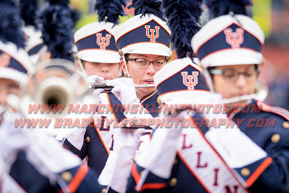 Wisconsin Badgers at Illinois Fighting Illini, Saturday, October 28, 2017 - Marching Illini Photos