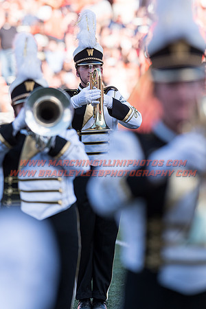 Western Michigan Broncos at Illinois Fighting Illini, Saturday, September 17, 2016 - Marching Illini Photos