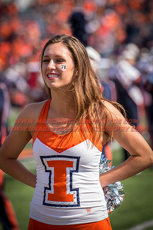 Rutgers Scarlett Knights at Illinois Fighting Illini, Saturday, October 14, 2017 - Marching Illini Photos