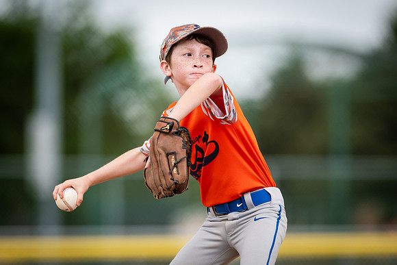 July 28, 2018 Little League State Tournament Champaign East vs. Homewood Heights
