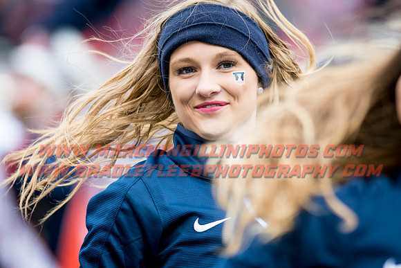 Wisconsin Badgers at Illinois Fighting Illini, Saturday, October 28, 2017 - Marching Illini Photos