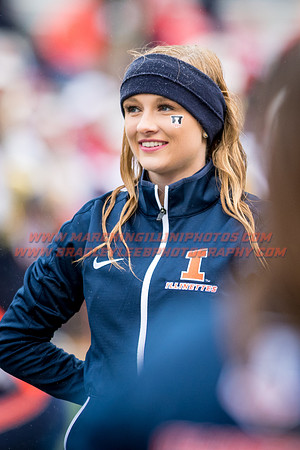 Wisconsin Badgers at Illinois Fighting Illini, Saturday, October 28, 2017 - Marching Illini Photos
