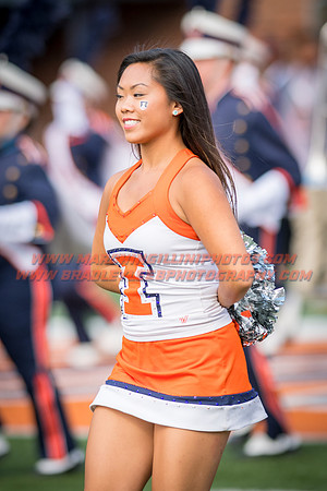 Rutgers Scarlett Knights at Illinois Fighting Illini, Saturday, October 14, 2017 - Marching Illini Photos