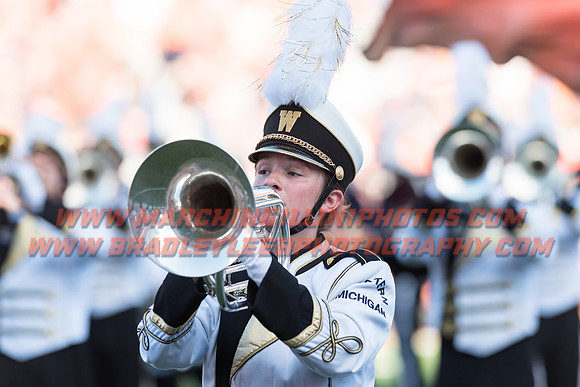 Western Michigan Broncos at Illinois Fighting Illini, Saturday, September 17, 2016 - Marching Illini Photos