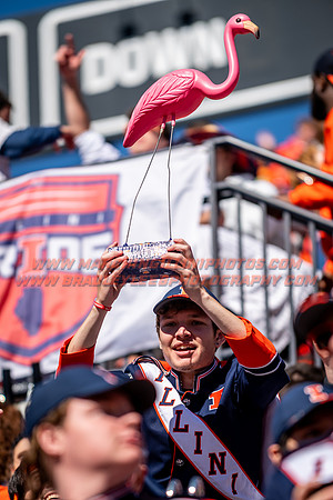 Illinois Fighting Illini Football vs. Chattanooga - 10/15/22