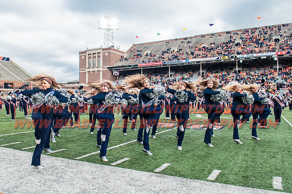 Iowa at Illinois, Saturday, November 19, 2016 - Marching Illini Photos