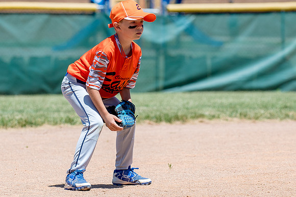 Champaign East Little League All-Stars (Borders)June 25, 2017, www.BradleyLeebPhotography.com