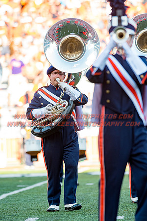 Western Michigan Broncos at Illinois Fighting Illini, Saturday, September 17, 2016 - Marching Illini Photos