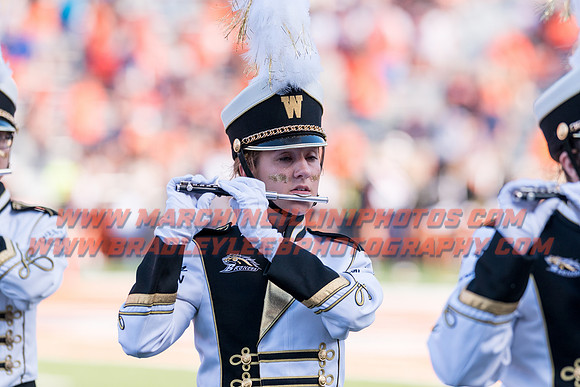 Western Michigan Broncos at Illinois Fighting Illini, Saturday, September 17, 2016 - Marching Illini Photos