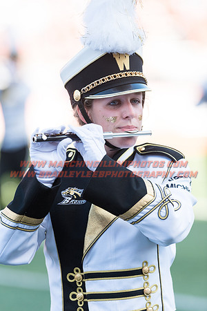Western Michigan Broncos at Illinois Fighting Illini, Saturday, September 17, 2016 - Marching Illini Photos