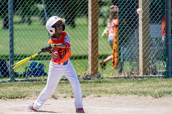 Champaign East Little League All-Stars (Borders)June 25, 2017, www.BradleyLeebPhotography.com