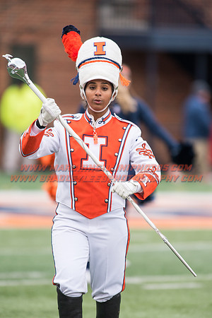 Iowa at Illinois, Saturday, November 19, 2016 - Marching Illini Photos