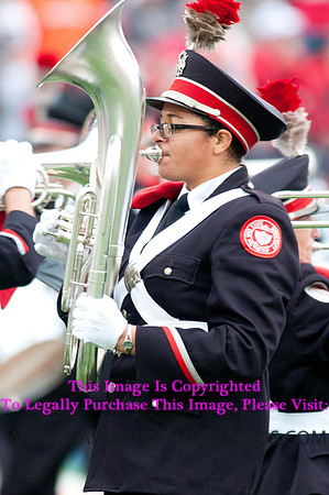 Ohio State Buckeyes at Illinois Fighting Illini, Saturday, November 16, 2013 - Marching Illini Photos