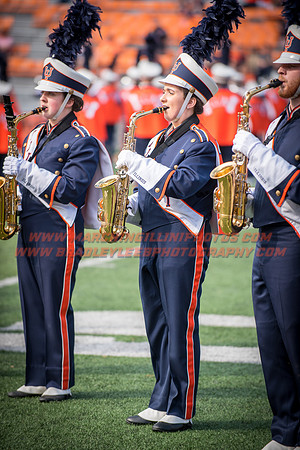 Rutgers Scarlett Knights at Illinois Fighting Illini, Saturday, October 14, 2017 - Marching Illini Photos