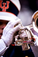 Iowa at Illinois, Saturday, November 19, 2016 - Marching Illini Photos