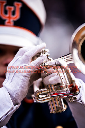 Iowa at Illinois, Saturday, November 19, 2016 - Marching Illini Photos