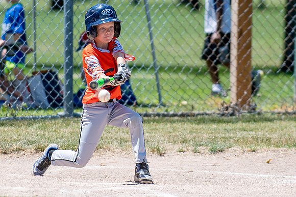 Champaign East Little League All-Stars (Borders)June 25, 2017, www.BradleyLeebPhotography.com