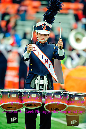 Penn State Nittany Lions at Illinois Fighting Illini, Saturday, November 22, 2014 - Marching Illini Photos