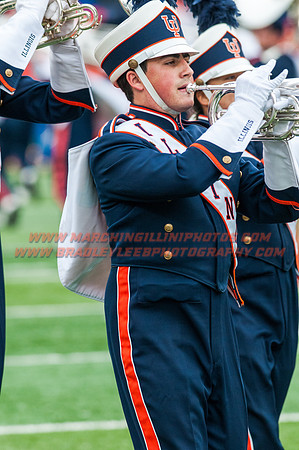 Wisconsin at Illinois, Saturday, Oct. 24, 2015 - Marching Illini Photos
