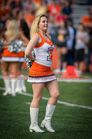 Rutgers Scarlett Knights at Illinois Fighting Illini, Saturday, October 14, 2017 - Marching Illini Photos