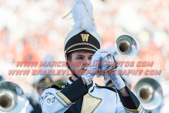 Western Michigan Broncos at Illinois Fighting Illini, Saturday, September 17, 2016 - Marching Illini Photos