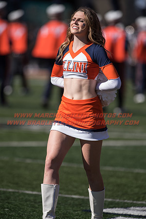 Purdue Boilermakers at Illinois Fighting Illini, Saturday, October 8, 2016 - Marching Illini Photos